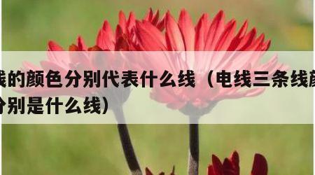 电线的颜色分别代表什么线（电线三条线颜色都分别是什么线）