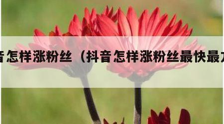 抖音怎样涨粉丝（抖音怎样涨粉丝最快最方便）
