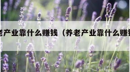 养老产业靠什么赚钱（养老产业靠什么赚钱呢）