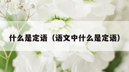 什么是定语（语文中什么是定语）