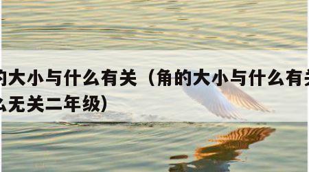 角的大小与什么有关（角的大小与什么有关与什么无关二年级）
