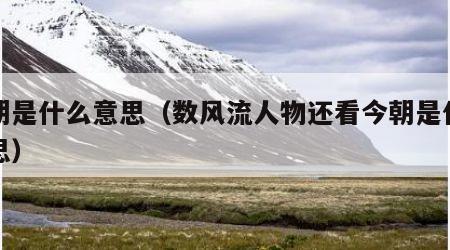 今朝是什么意思（数风流人物还看今朝是什么意思）