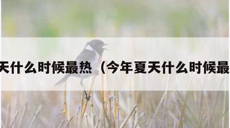 夏天什么时候最热（今年夏天什么时候最热）