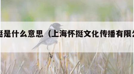 怀挺是什么意思（上海怀挺文化传播有限公司）