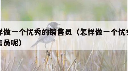 怎样做一个优秀的销售员（怎样做一个优秀的销售员呢）