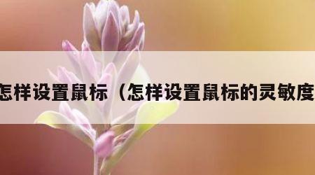 怎样设置鼠标（怎样设置鼠标的灵敏度）