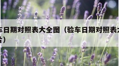 验车日期对照表大全图（验车日期对照表大全图片）
