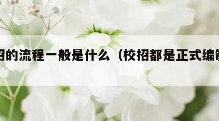 校招的流程一般是什么（校招都是正式编制的吗）