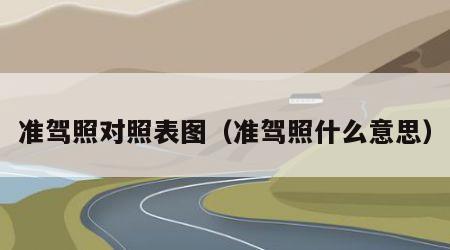 准驾照对照表图（准驾照什么意思）