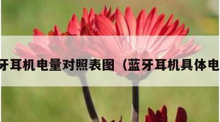 蓝牙耳机电量对照表图（蓝牙耳机具体电量）
