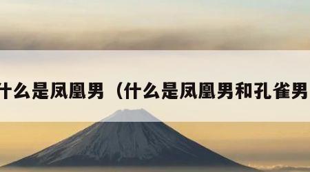 什么是凤凰男（什么是凤凰男和孔雀男）