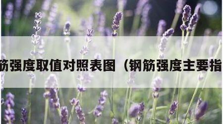 钢筋强度取值对照表图（钢筋强度主要指标）