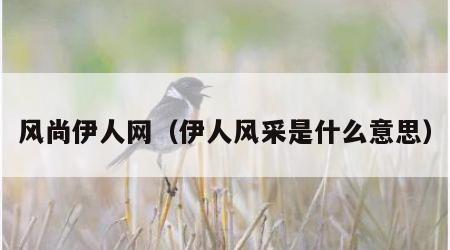 风尚伊人网（伊人风采是什么意思）