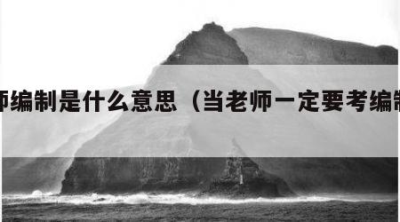 老师编制是什么意思（当老师一定要考编制吗）
