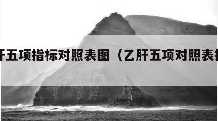 乙肝五项指标对照表图（乙肝五项对照表指数）