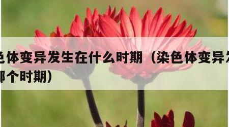 染色体变异发生在什么时期（染色体变异发生在哪个时期）