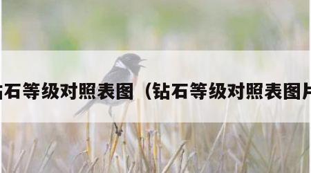钻石等级对照表图（钻石等级对照表图片）
