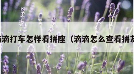 滴滴打车怎样看拼座（滴滴怎么查看拼友）