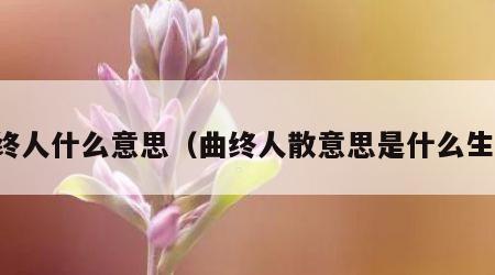 曲终人什么意思（曲终人散意思是什么生肖）