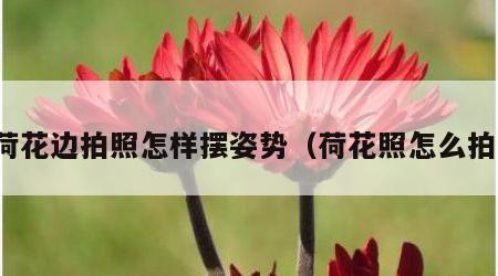 荷花边拍照怎样摆姿势（荷花照怎么拍）