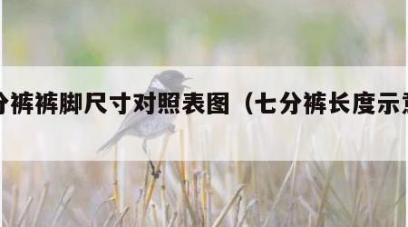 七分裤裤脚尺寸对照表图（七分裤长度示意图）