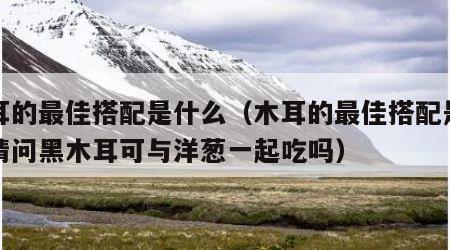 木耳的最佳搭配是什么（木耳的最佳搭配是什么请问黑木耳可与洋葱一起吃吗）