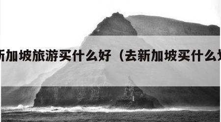 去新加坡旅游买什么好（去新加坡买什么划算）