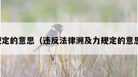 规定的意思（违反法律溯及力规定的意思）