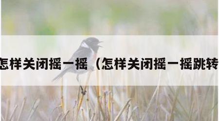 怎样关闭摇一摇（怎样关闭摇一摇跳转）