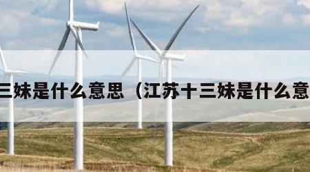 十三妹是什么意思（江苏十三妹是什么意思）