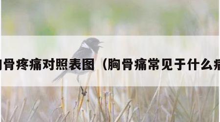 胸骨疼痛对照表图（胸骨痛常见于什么病）