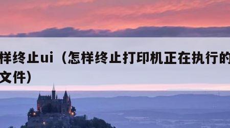 怎样终止ui（怎样终止打印机正在执行的打印文件）