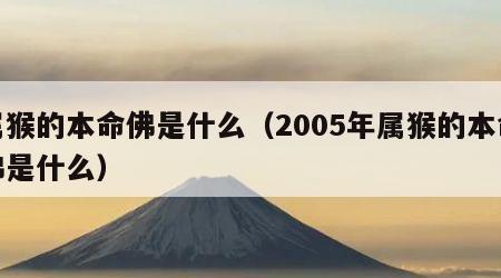 属猴的本命佛是什么（2005年属猴的本命佛是什么）