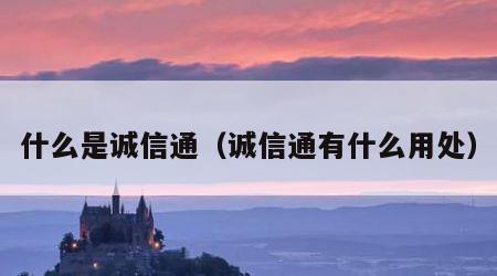 什么是诚信通（诚信通有什么用处）