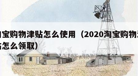 淘宝购物津贴怎么使用（2020淘宝购物津贴怎么领取）