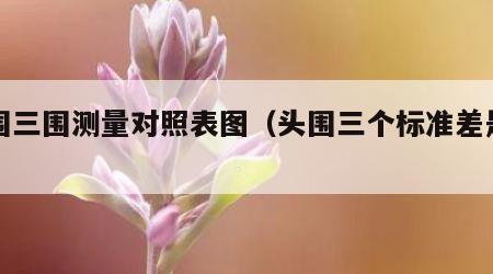 头围三围测量对照表图（头围三个标准差是多少）