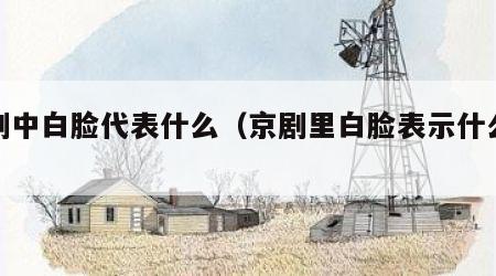 京剧中白脸代表什么（京剧里白脸表示什么意思）
