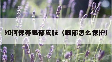 如何保养眼部皮肤（眼部怎么保护）