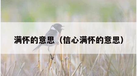 满怀的意思（信心满怀的意思）