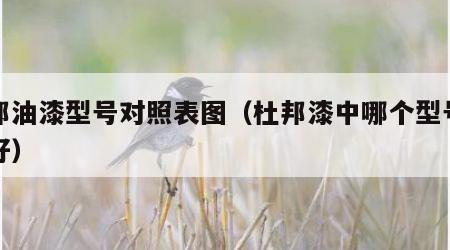 杜邦油漆型号对照表图（杜邦漆中哪个型号的最好）