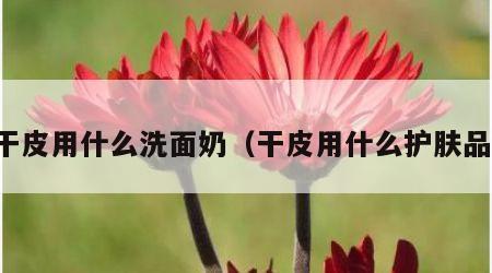 干皮用什么洗面奶（干皮用什么护肤品）