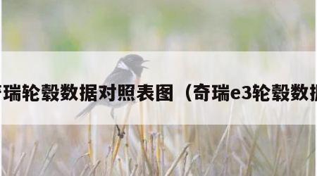 奇瑞轮毂数据对照表图（奇瑞e3轮毂数据）