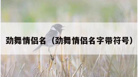 劲舞情侣名（劲舞情侣名字带符号）