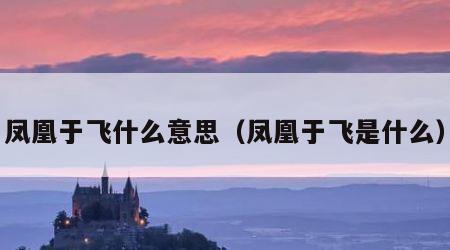 凤凰于飞什么意思（凤凰于飞是什么）