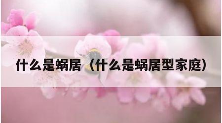 什么是蜗居（什么是蜗居型家庭）