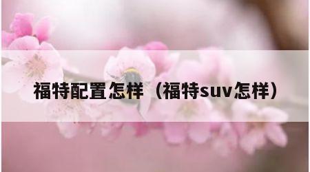 福特配置怎样（福特suv怎样）