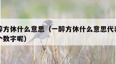 一醉方休什么意思（一醉方休什么意思代表那三个数字呢）