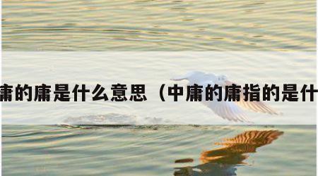 中庸的庸是什么意思（中庸的庸指的是什么）