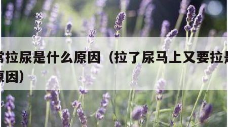 经常拉尿是什么原因（拉了尿马上又要拉是什么原因）