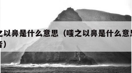 嗤之以鼻是什么意思（嗤之以鼻是什么意思并注音）